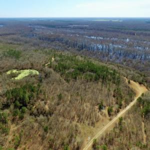 Photo of UNDER CONTRACT!  36.48 Acres of Hunting Land For Sale in Craven County NC!