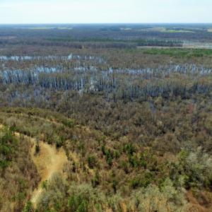 Photo of UNDER CONTRACT!  36.48 Acres of Hunting Land For Sale in Craven County NC!