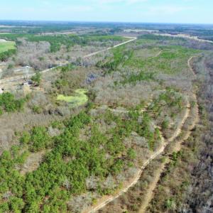 Photo of UNDER CONTRACT!  36.48 Acres of Hunting Land For Sale in Craven County NC!
