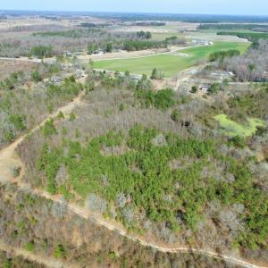 Photo of UNDER CONTRACT!  36.48 Acres of Hunting Land For Sale in Craven County NC!