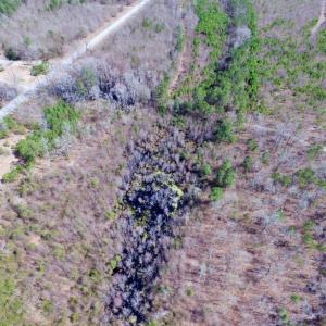 Photo of UNDER CONTRACT!  36.48 Acres of Hunting Land For Sale in Craven County NC!
