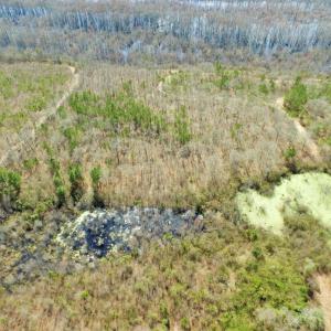 Photo of UNDER CONTRACT!  36.48 Acres of Hunting Land For Sale in Craven County NC!