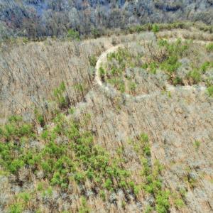 Photo of UNDER CONTRACT!  36.48 Acres of Hunting Land For Sale in Craven County NC!