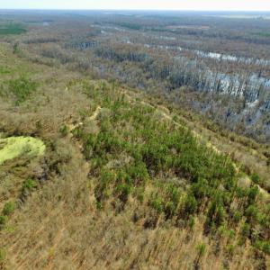 Photo of UNDER CONTRACT!  36.48 Acres of Hunting Land For Sale in Craven County NC!