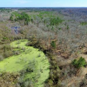 Photo of UNDER CONTRACT!  36.48 Acres of Hunting Land For Sale in Craven County NC!