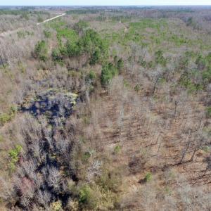 Photo of UNDER CONTRACT!  36.48 Acres of Hunting Land For Sale in Craven County NC!
