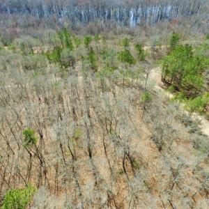 Photo of UNDER CONTRACT!  36.48 Acres of Hunting Land For Sale in Craven County NC!