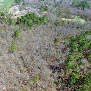Photo of UNDER CONTRACT!  36.48 Acres of Hunting Land For Sale in Craven County NC!