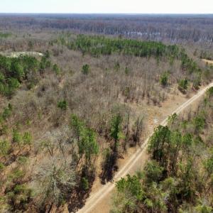 Photo of UNDER CONTRACT!  36.48 Acres of Hunting Land For Sale in Craven County NC!