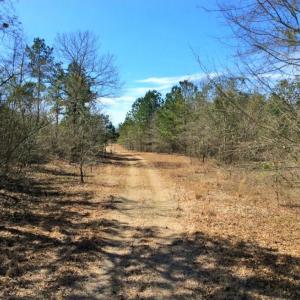 Photo of UNDER CONTRACT!  36.48 Acres of Hunting Land For Sale in Craven County NC!