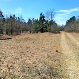 Photo of UNDER CONTRACT!  36.48 Acres of Hunting Land For Sale in Craven County NC!