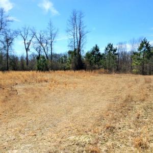 Photo of UNDER CONTRACT!  36.48 Acres of Hunting Land For Sale in Craven County NC!