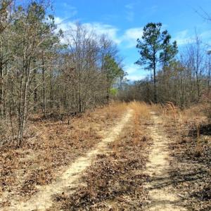 Photo of UNDER CONTRACT!  36.48 Acres of Hunting Land For Sale in Craven County NC!