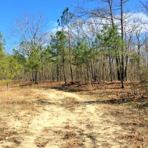 Photo of UNDER CONTRACT!  36.48 Acres of Hunting Land For Sale in Craven County NC!
