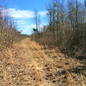 Photo of UNDER CONTRACT!  36.48 Acres of Hunting Land For Sale in Craven County NC!
