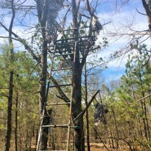 Photo of UNDER CONTRACT!  36.48 Acres of Hunting Land For Sale in Craven County NC!
