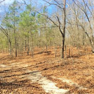 Photo of UNDER CONTRACT!  36.48 Acres of Hunting Land For Sale in Craven County NC!