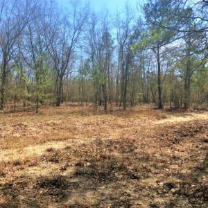 Photo of UNDER CONTRACT!  36.48 Acres of Hunting Land For Sale in Craven County NC!
