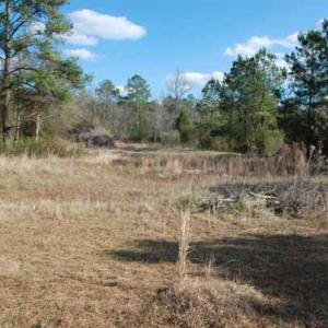 Photo of UNDER CONTRACT!  5.12 Acres of River Front Land For Sale in Jones County NC!