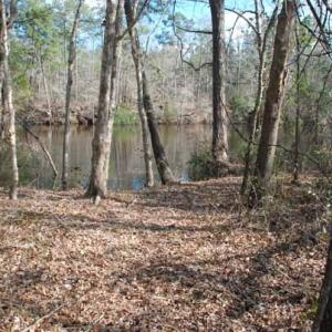 Photo of UNDER CONTRACT!  5.12 Acres of River Front Land For Sale in Jones County NC!
