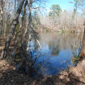 Photo of UNDER CONTRACT!  5.12 Acres of River Front Land For Sale in Jones County NC!