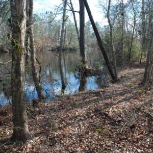 Photo of UNDER CONTRACT!  5.12 Acres of River Front Land For Sale in Jones County NC!