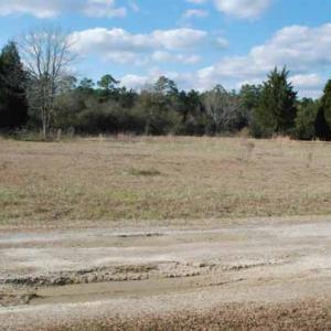 Photo of UNDER CONTRACT!  5.12 Acres of River Front Land For Sale in Jones County NC!