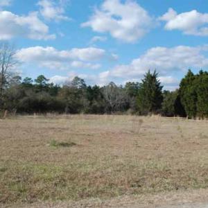 Photo of UNDER CONTRACT!  5.12 Acres of River Front Land For Sale in Jones County NC!