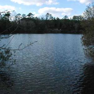 Photo of UNDER CONTRACT!  5.12 Acres of River Front Land For Sale in Jones County NC!