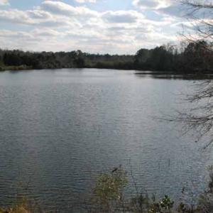 Photo of UNDER CONTRACT!  5.12 Acres of River Front Land For Sale in Jones County NC!