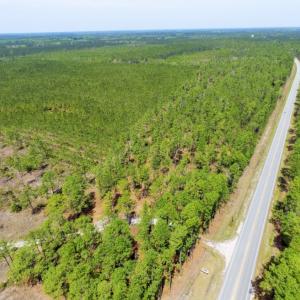 Photo of SOLD!  12.7 Acres of Timberland For Sale in Pamlico County NC!
