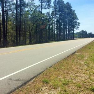 Photo of SOLD!  12.7 Acres of Timberland For Sale in Pamlico County NC!
