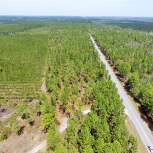 Photo of SOLD!  12.7 Acres of Timberland For Sale in Pamlico County NC!