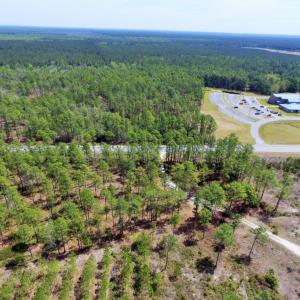 Photo of SOLD!  12.7 Acres of Timberland For Sale in Pamlico County NC!