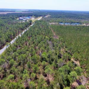 Photo of SOLD!  12.7 Acres of Timberland For Sale in Pamlico County NC!