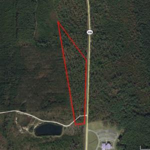 Photo of SOLD!  12.7 Acres of Timberland For Sale in Pamlico County NC!