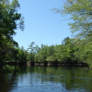 Photo of SOLD!  337 Acres of Hunting Land For Sale in Columbus County NC!