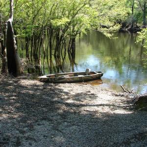 Photo of SOLD!  337 Acres of Hunting Land For Sale in Columbus County NC!