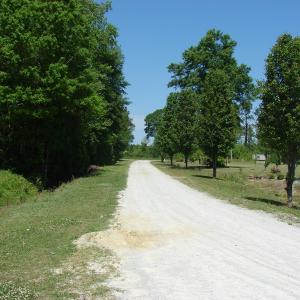 Photo of SOLD!  337 Acres of Hunting Land For Sale in Columbus County NC!