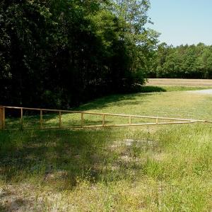 Photo of SOLD!  337 Acres of Hunting Land For Sale in Columbus County NC!