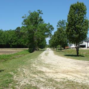 Photo of SOLD!  337 Acres of Hunting Land For Sale in Columbus County NC!
