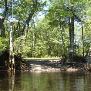 Photo of SOLD!  337 Acres of Hunting Land For Sale in Columbus County NC!