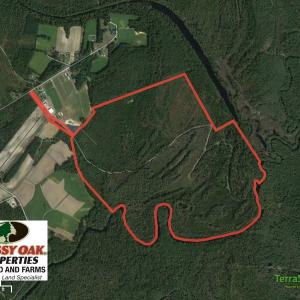 Photo of SOLD!  337 Acres of Hunting Land For Sale in Columbus County NC!