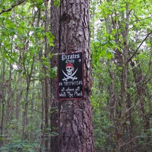 Photo of SOLD!!  283.83 Acres of Hunting and Timber Land For Sale In Pamlico County NC!