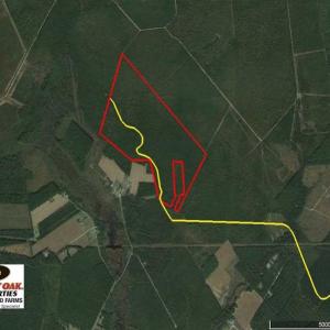 Photo of SOLD!!  283.83 Acres of Hunting and Timber Land For Sale In Pamlico County NC!