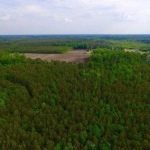 Photo of SOLD!!  283.83 Acres of Hunting and Timber Land For Sale In Pamlico County NC!