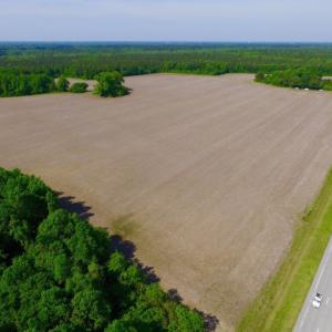 Photo of REDUCED!  443.3 Acres of Farm and Timber Land For Sale In Pamlico County NC!