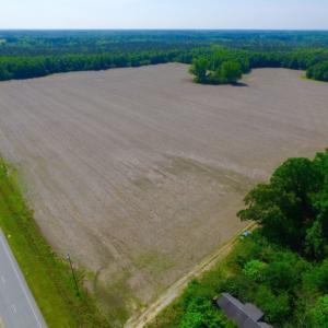 Photo of REDUCED!  443.3 Acres of Farm and Timber Land For Sale In Pamlico County NC!