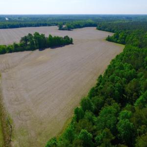 Photo of REDUCED!  443.3 Acres of Farm and Timber Land For Sale In Pamlico County NC!