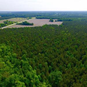 Photo of REDUCED!  443.3 Acres of Farm and Timber Land For Sale In Pamlico County NC!